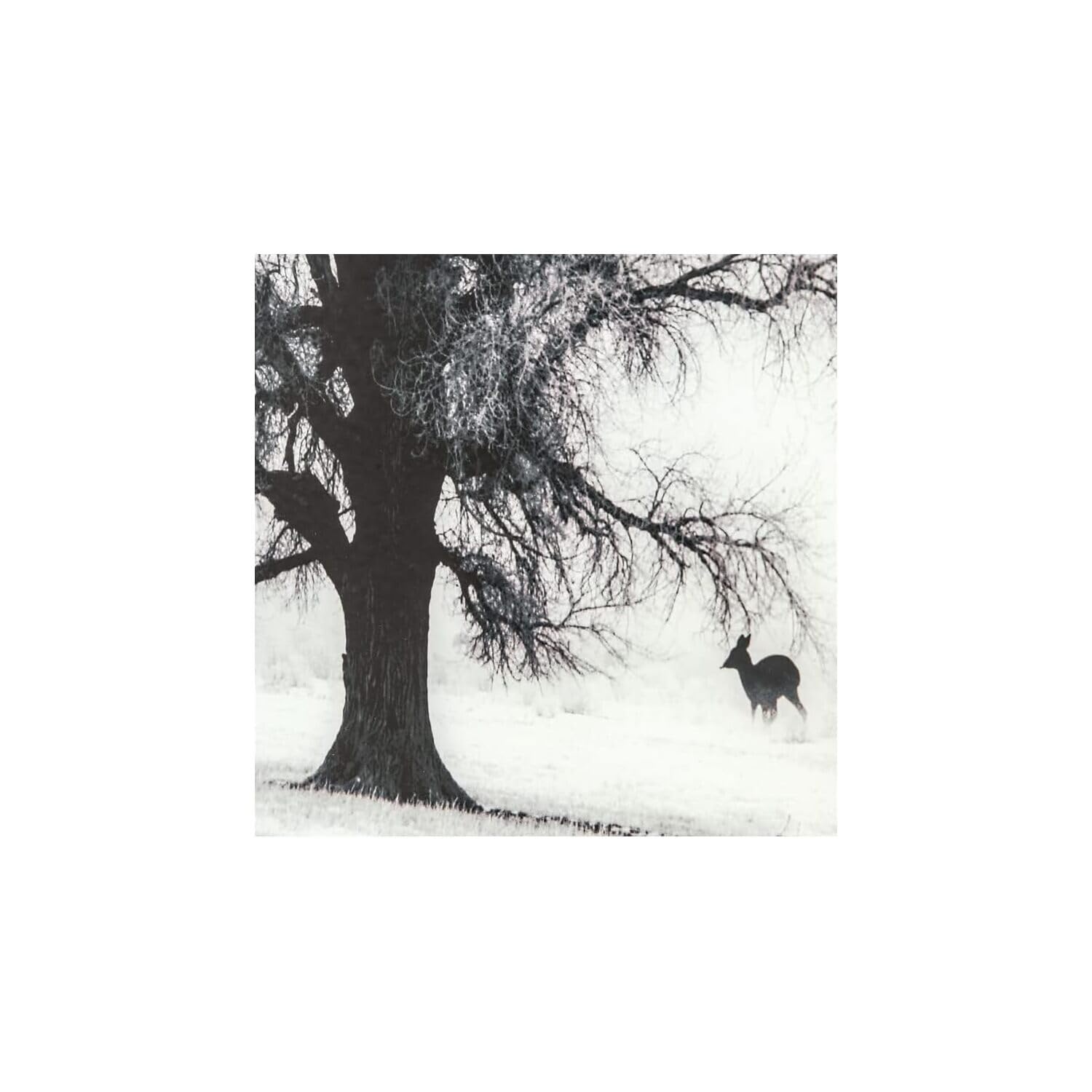 Yosemite Home Decor Winter Morning Fog II Wall Art - Stunning Landscape Print for Living Room, Bedroom & Office Decor