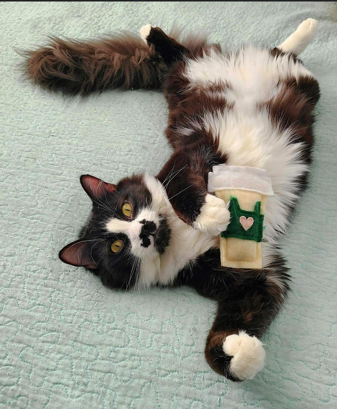 Organic Catnip Cat Toy - Natural Herbal Plaything for Kittens, Fun & Safe for Indoor Cats - Perfect for Playtime, Training & Stress Relief