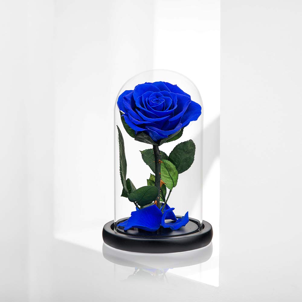 Royal Blue Preserved Roses in Glass Dome - Real Never-Withered Flowers for Home Decor, Wedding Centerpieces & Romantic Gifts (Perfect for Valentine's Day, Mother's Day & Birthdays)