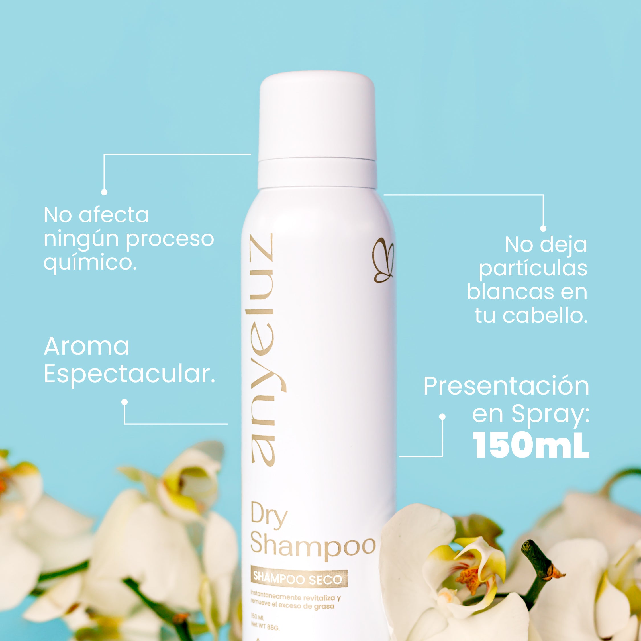 Anyeluz Dry Shampoo for Oily Hair - Volumizing & Refreshing Spray - Quick Cleanse Between Washes - Perfect for Travel, Gym & Busy Lifestyles