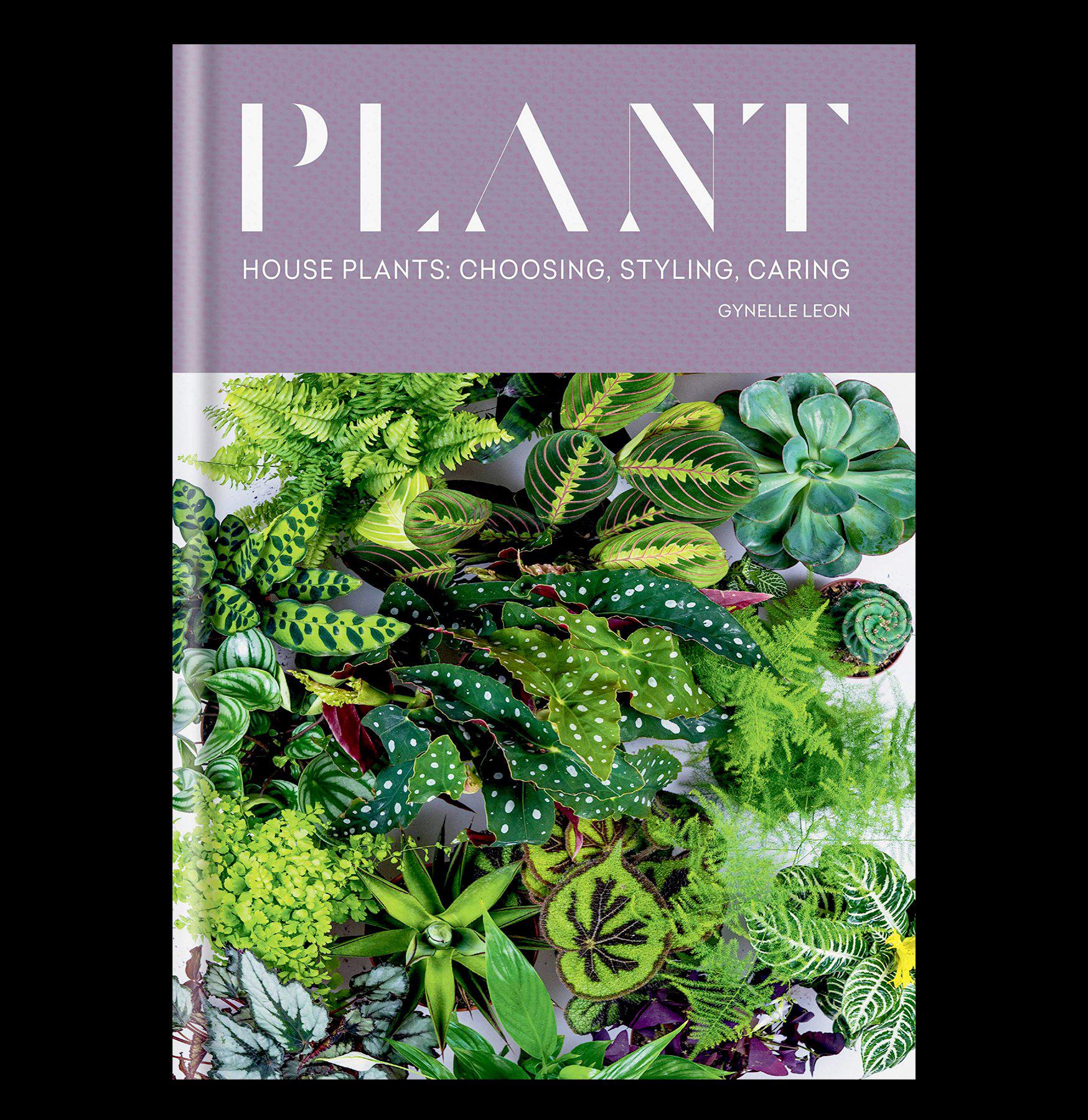 House Plants Guide: Choosing, Styling & Caring for Indoor Plants - Perfect for Home Decor, Office Spaces & Relaxation Areas