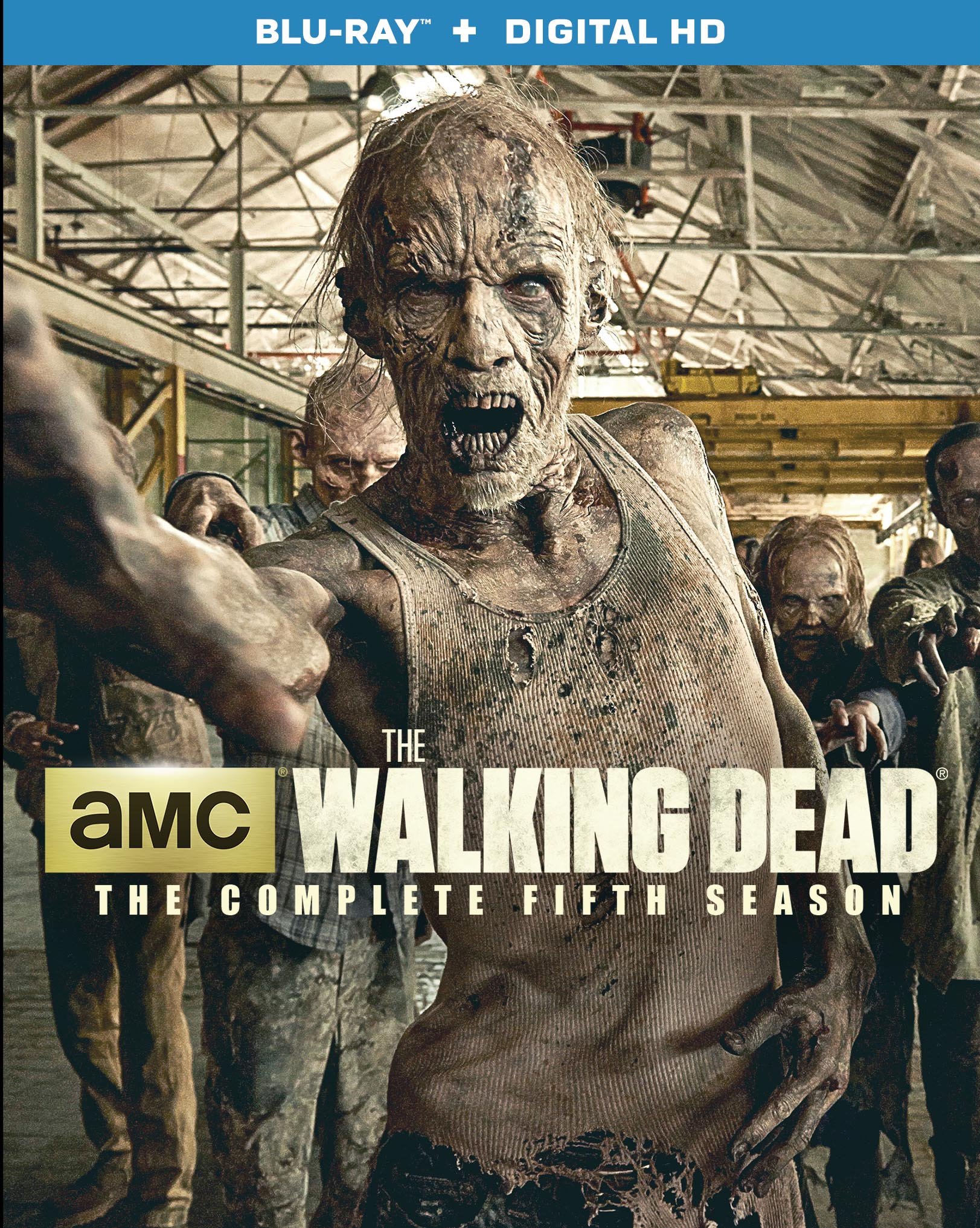 The Walking Dead Season 5 DVD Box Set - Complete TV Series Collection | Horror Zombie Apocalypse Show | Perfect for Halloween Binge-Watching & Post-Apocalyptic Drama Fans
