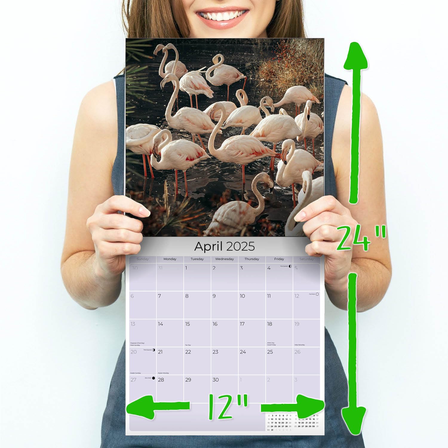 2024-2025 Flamingo Wall Calendar - 12