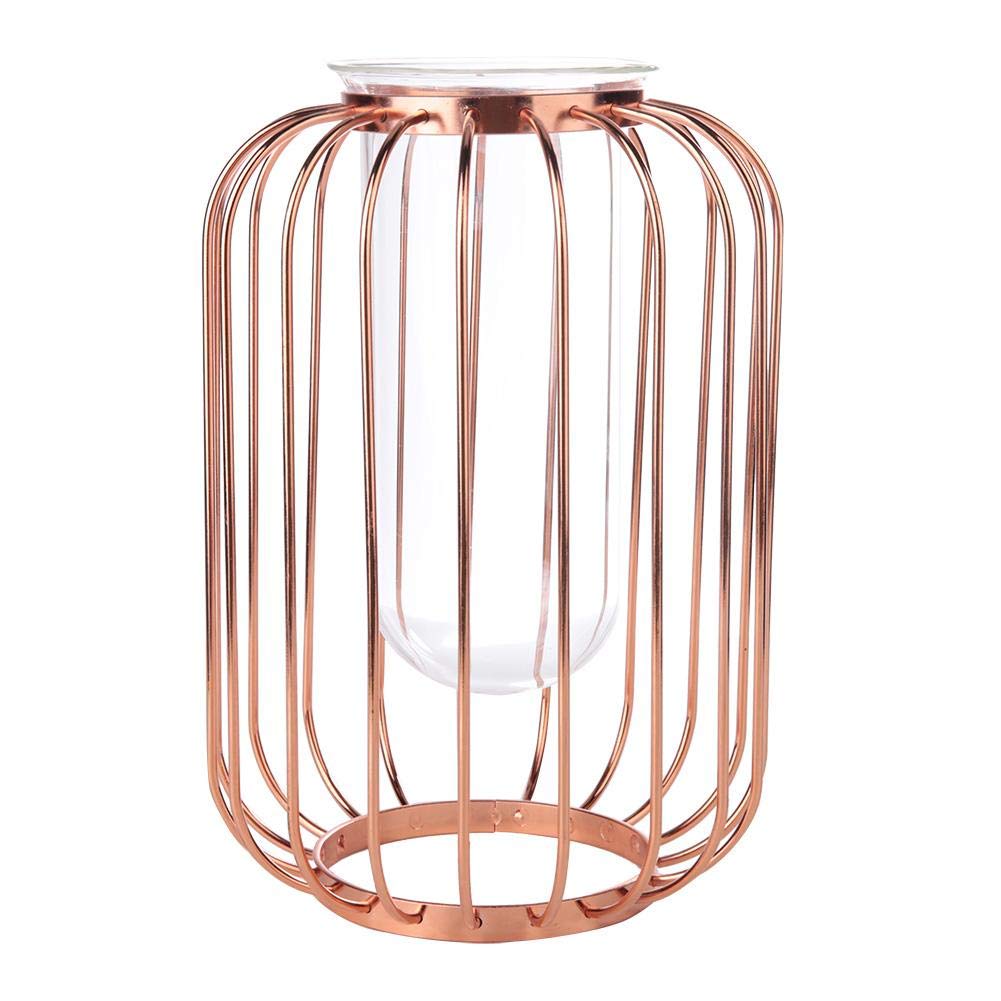 Nordic Lantern-Shaped Wrought Iron Vase - Small Glass Flower Vase for Tabletop Decor, Home, Office, Wedding & Party (Rose) | Perfect for Centerpieces, Gift Giving & Boho Home Decor
