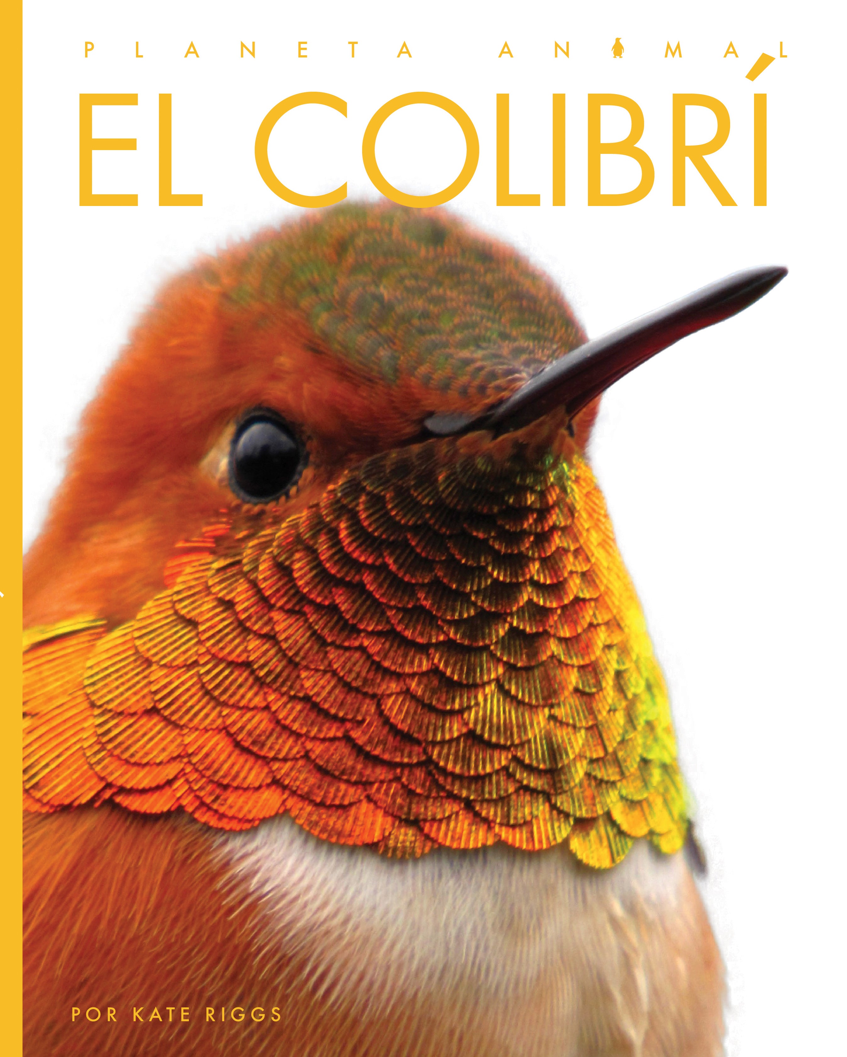 El Colibri 9781640266735 - Beautiful Hummingbird Book for Nature Lovers | Perfect for Birdwatching, Gifts & Home Decor