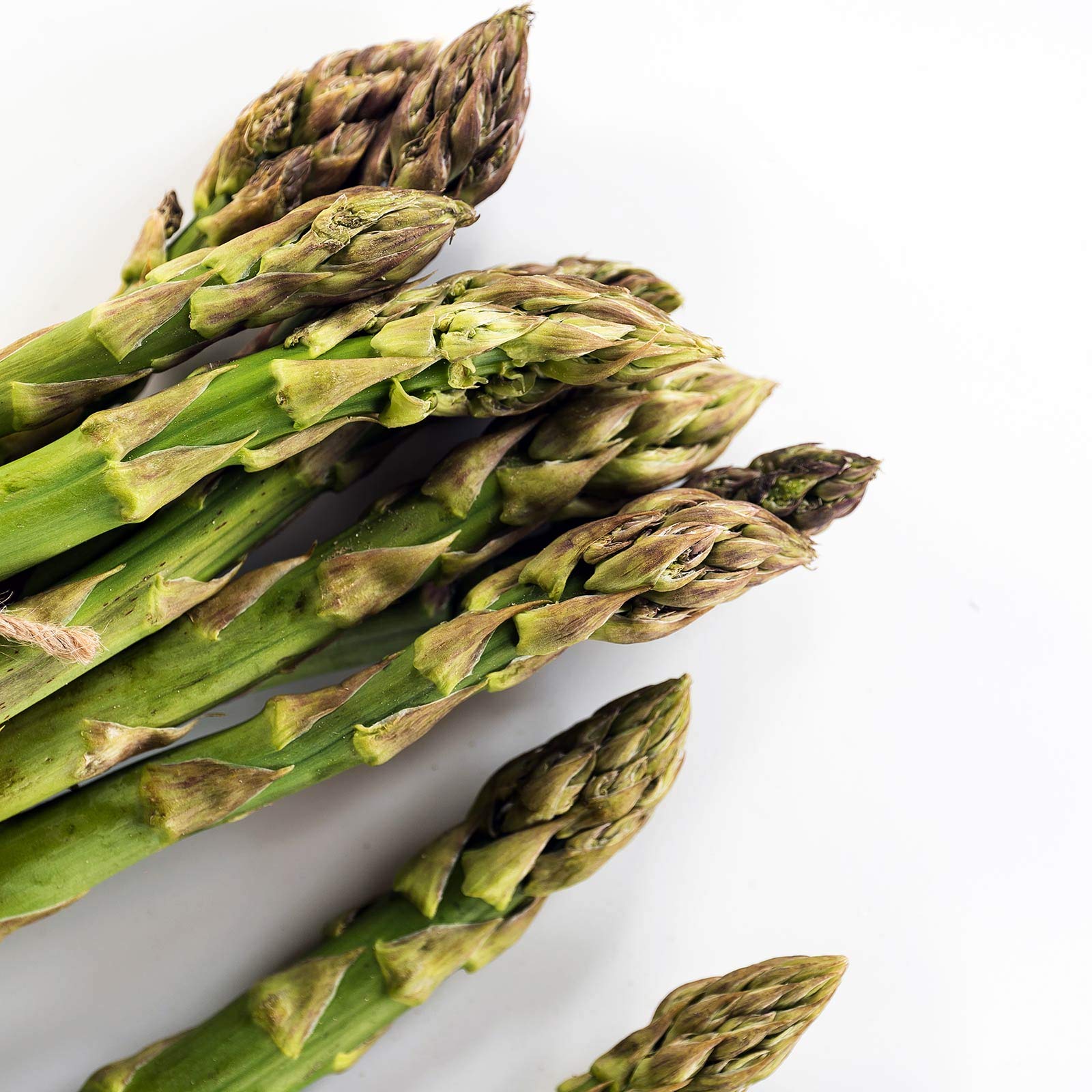Non-GMO Asparagus Seeds - 60 Perennial Garden Seeds for Home Vegetable Planting
