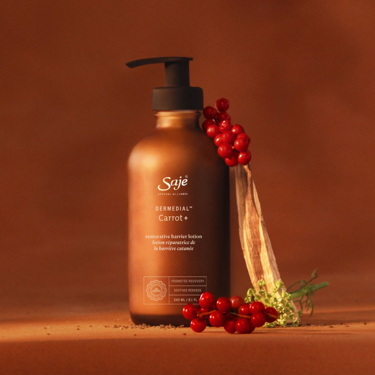 Dermedial Carrot+ Serum - Brightening & Anti-Aging Facial Treatment for Glowing Skin | Perfect for Daily Skincare Routine & Nighttime Regimen