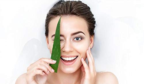 Khadi Rishikesh Herbal Aloe Vera Body Wash - Mega Moisturizing with Calcium & Magnesium for Youthful Skin, Anti-Aging & Stretch Mark Reduction - Pack of 2 (2x210ml) - Perfect for Dry Skin & Daily Hydration