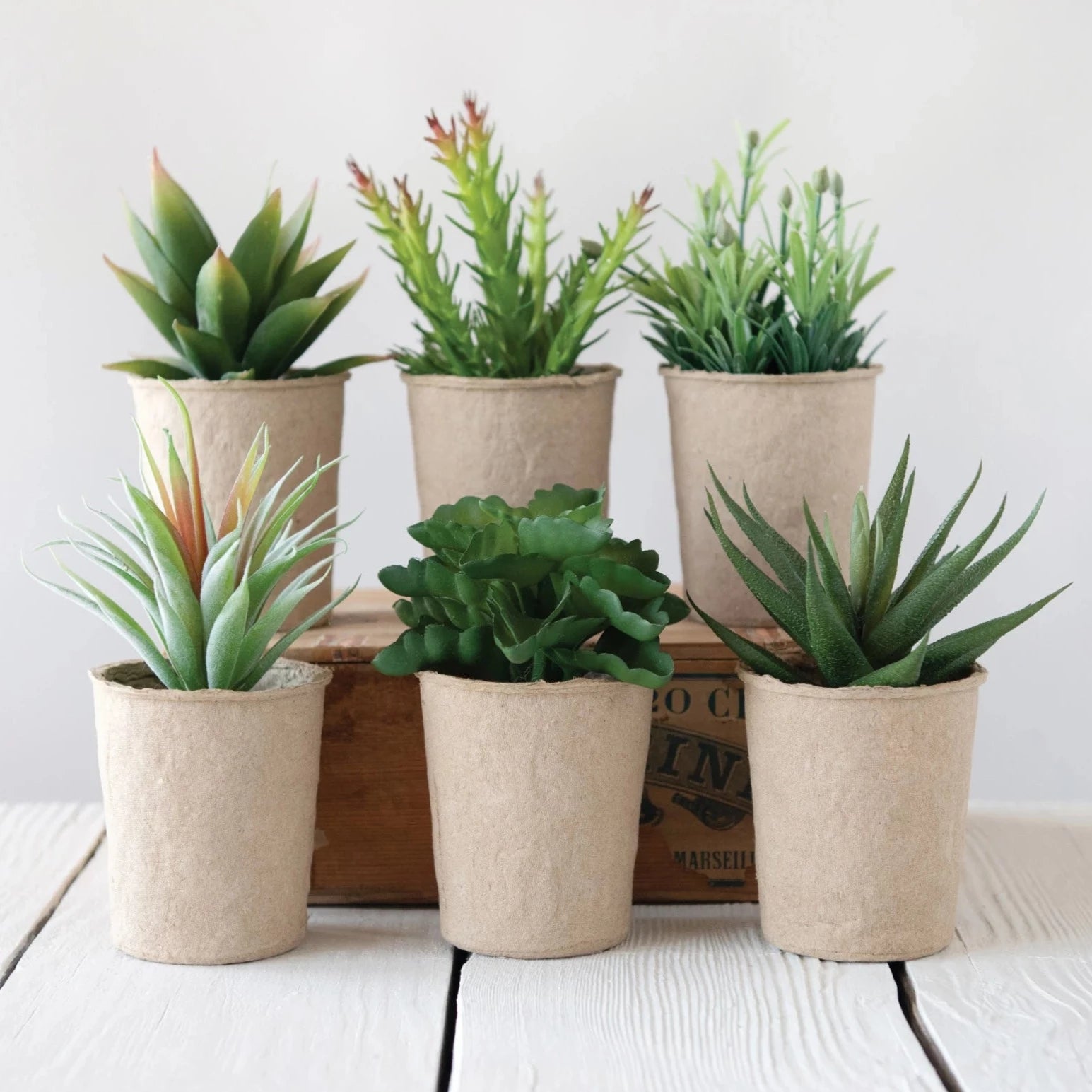 Artificial Succulent Plants in Decorative Paper Pots - Perfect for Home Office Desk Decor, Wedding Centerpieces & DIY Crafts