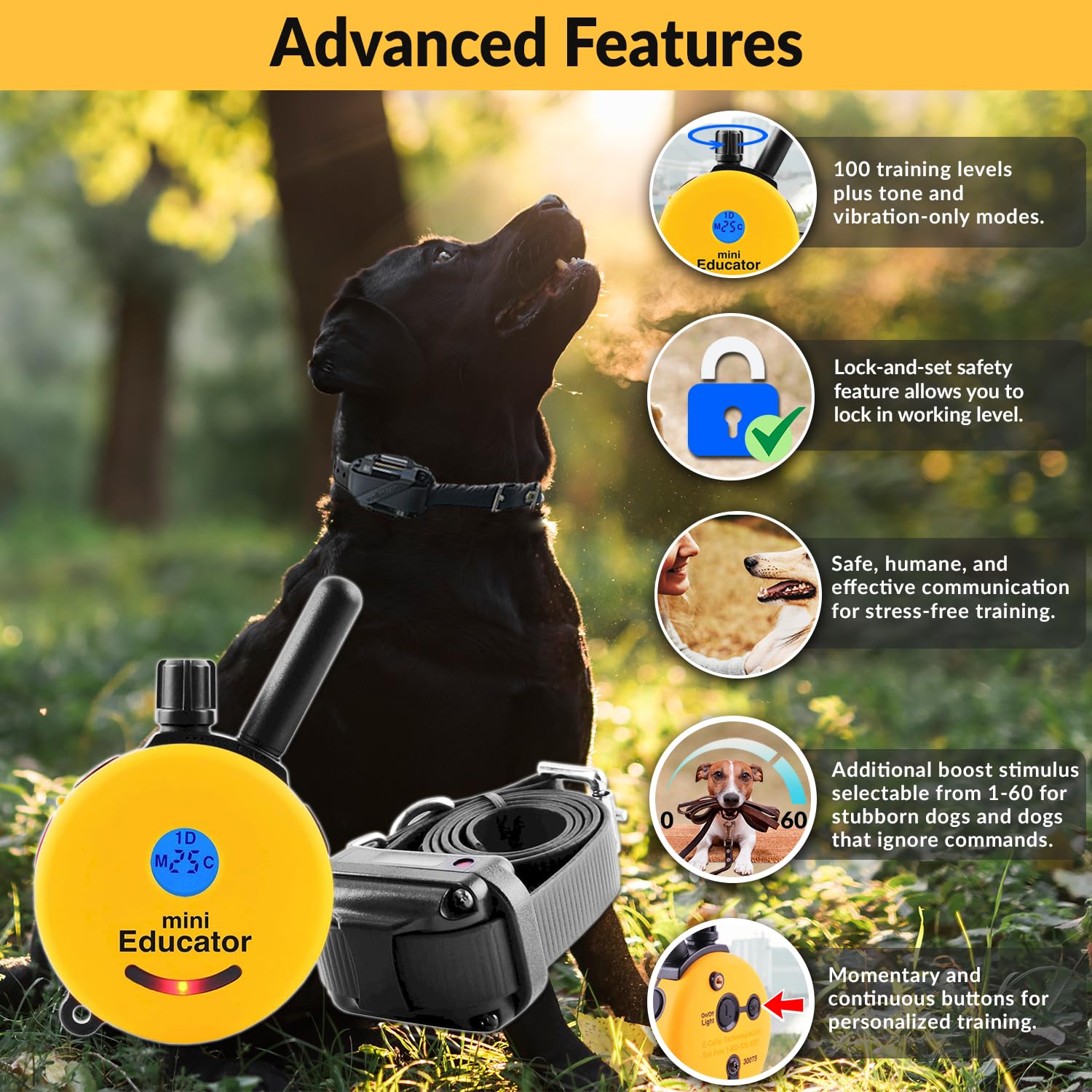 Humane Dog Training Collar with Remote - 100 Safe Stimulation Levels, Waterproof & Rechargeable Educator E-Collar for Small to Medium Dogs | 1/2 Mile Range, Night Light Feature | Perfect for Obedience Training, Behavior Correction & Outdoor Adventures (Yellow)