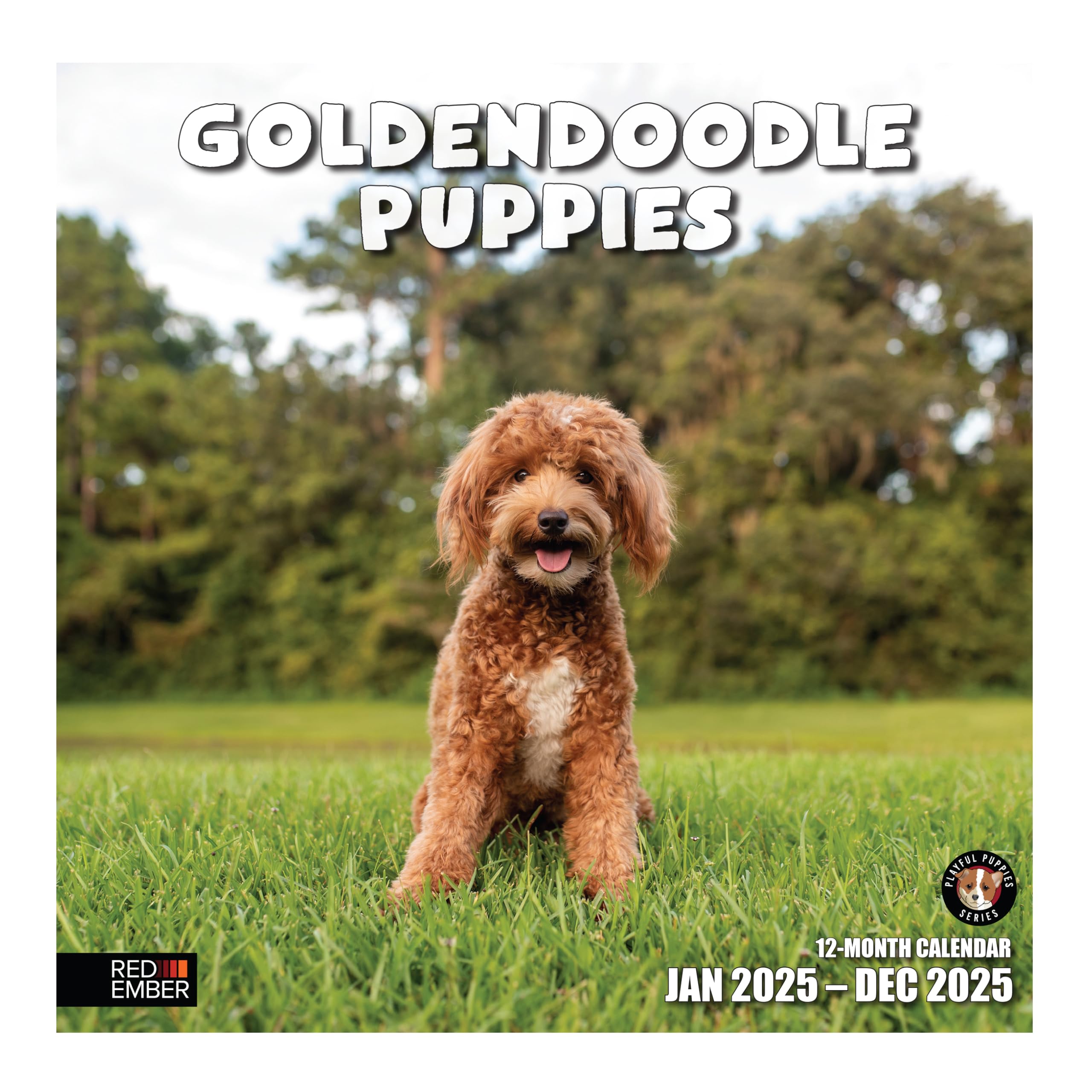 RED EMBER Goldendoodle Puppies 2025 Wall Calendar - 12 Month Large Format (12x24 Inches) with Thick Sturdy Paper | Perfect Gift for Dog Lovers | Home, Office & Classroom Decor | 2025 Dog Breed Calendar