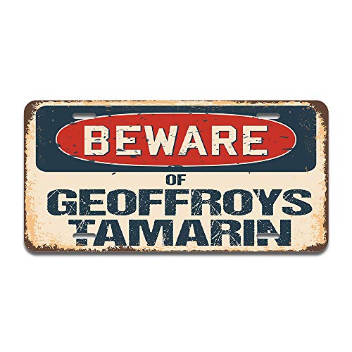 Beware of Geoffroys Tamarin