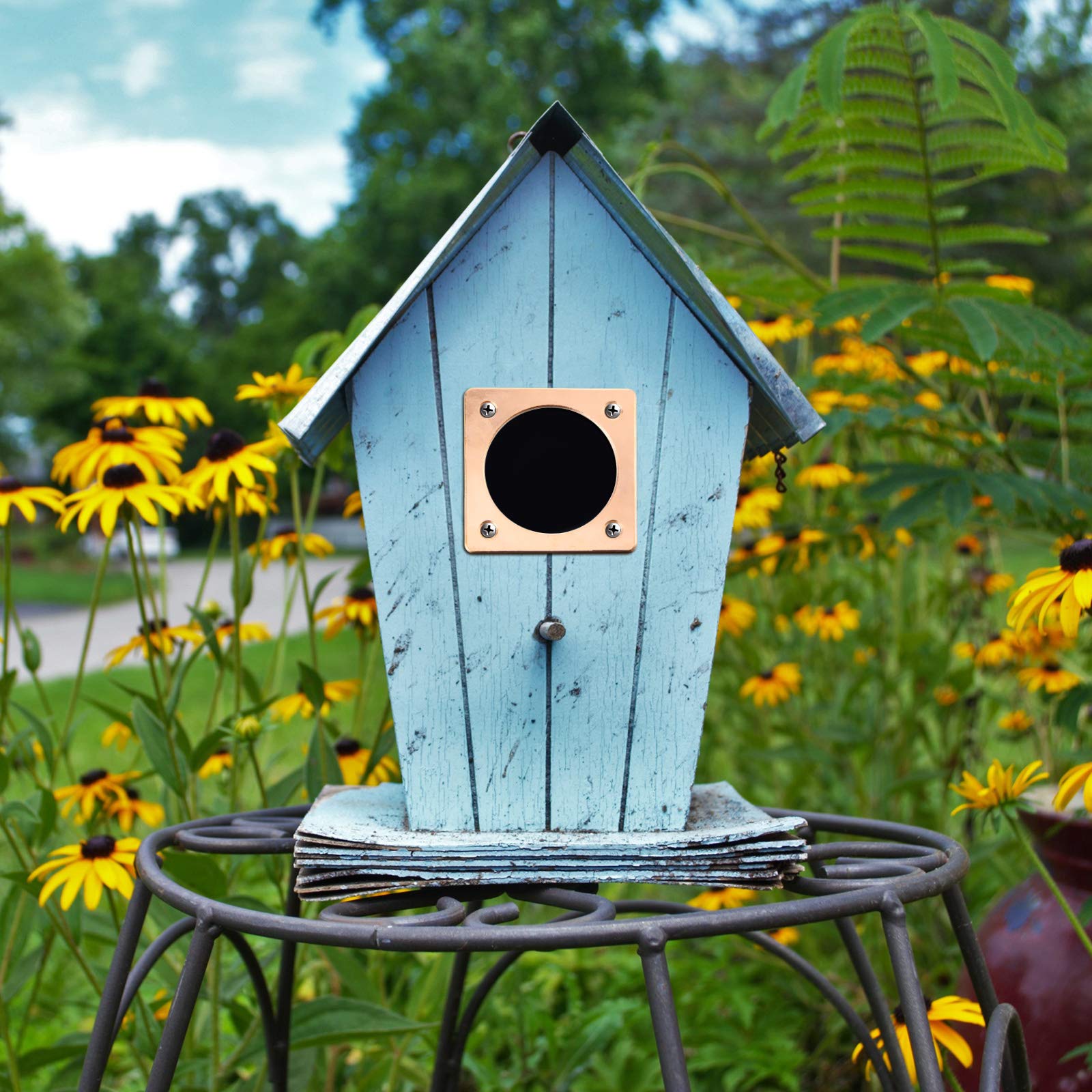 Copper Metal Portal Bird House Guard - 1.5 Inch Opening for Eastern Bluebird Houses - Durable Weatherproof Entry Protector for Bird Nesting Boxes (Perfect for Backyard Birdwatching & Garden Decor)