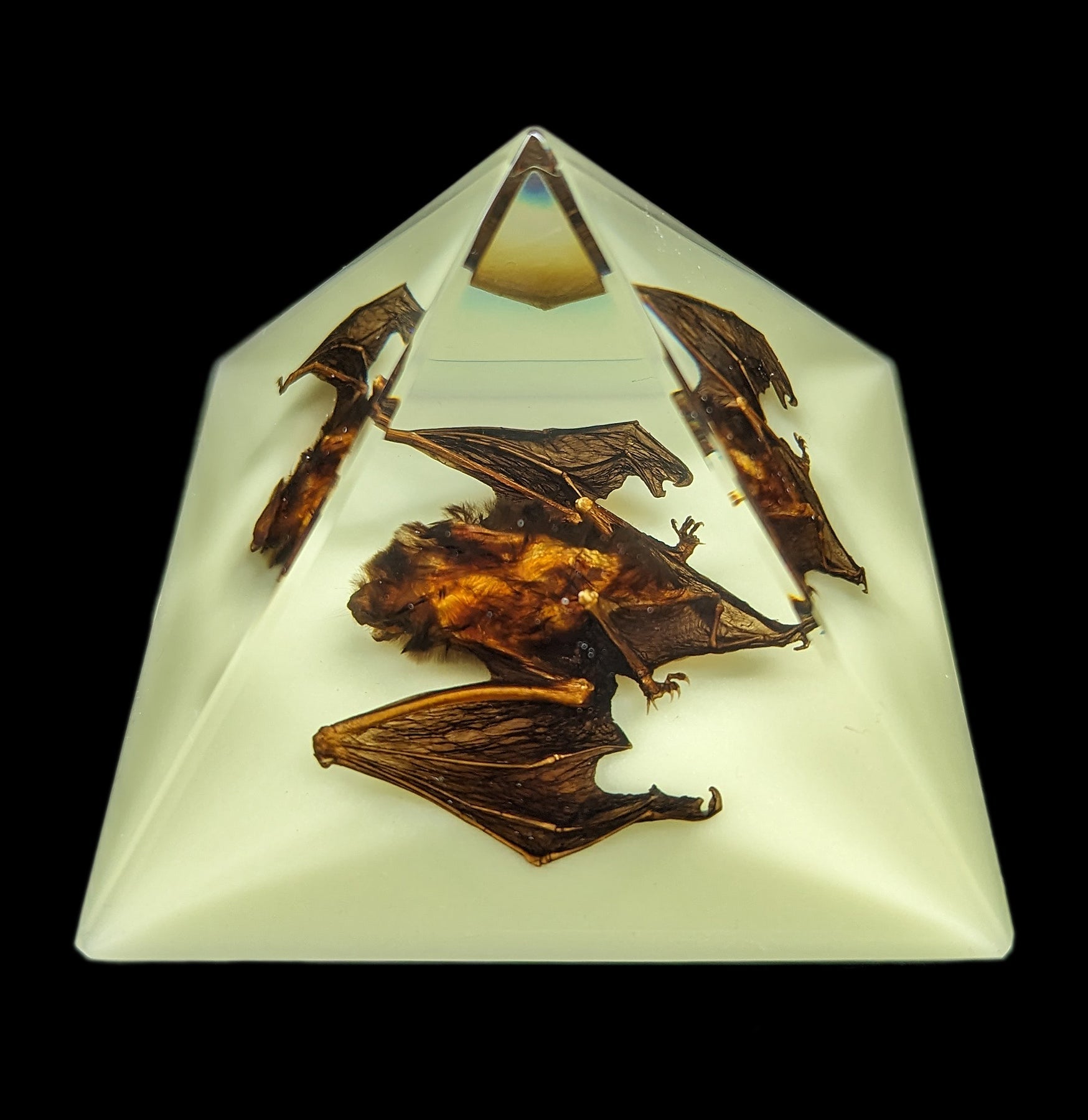 Glow in the Dark Bat Pyramid - Halloween Decorations, Spooky Party Supplies, Unique Night Light for Kids Room & Outdoor Garden Decor - Perfect for Halloween Parties, Bedroom Nightlight, and Themed Events