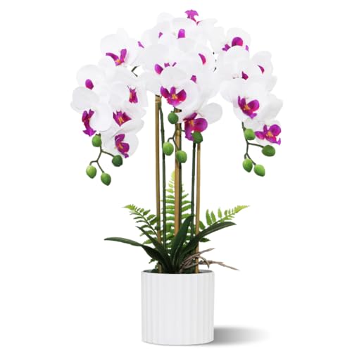 White and Purple 3 Stems