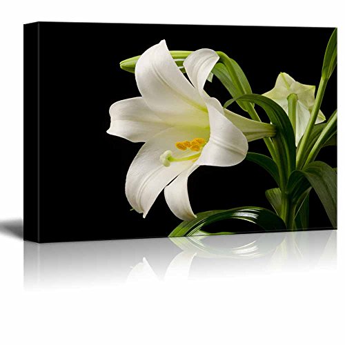 White Blooming Lily