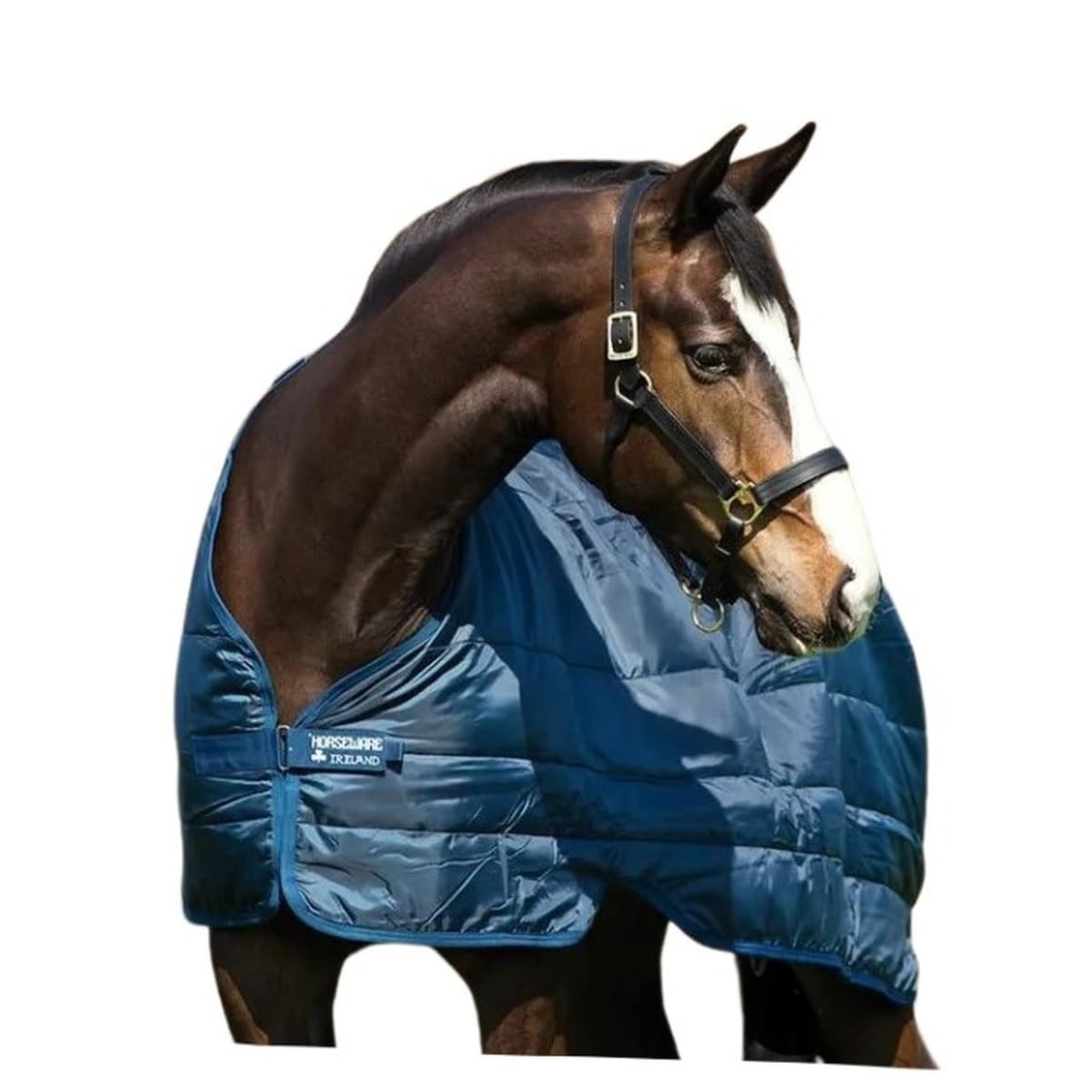 Horseware 300g Blanket Liner - Lightweight Horse Sheet for Cool Weather Riding & Stable Use