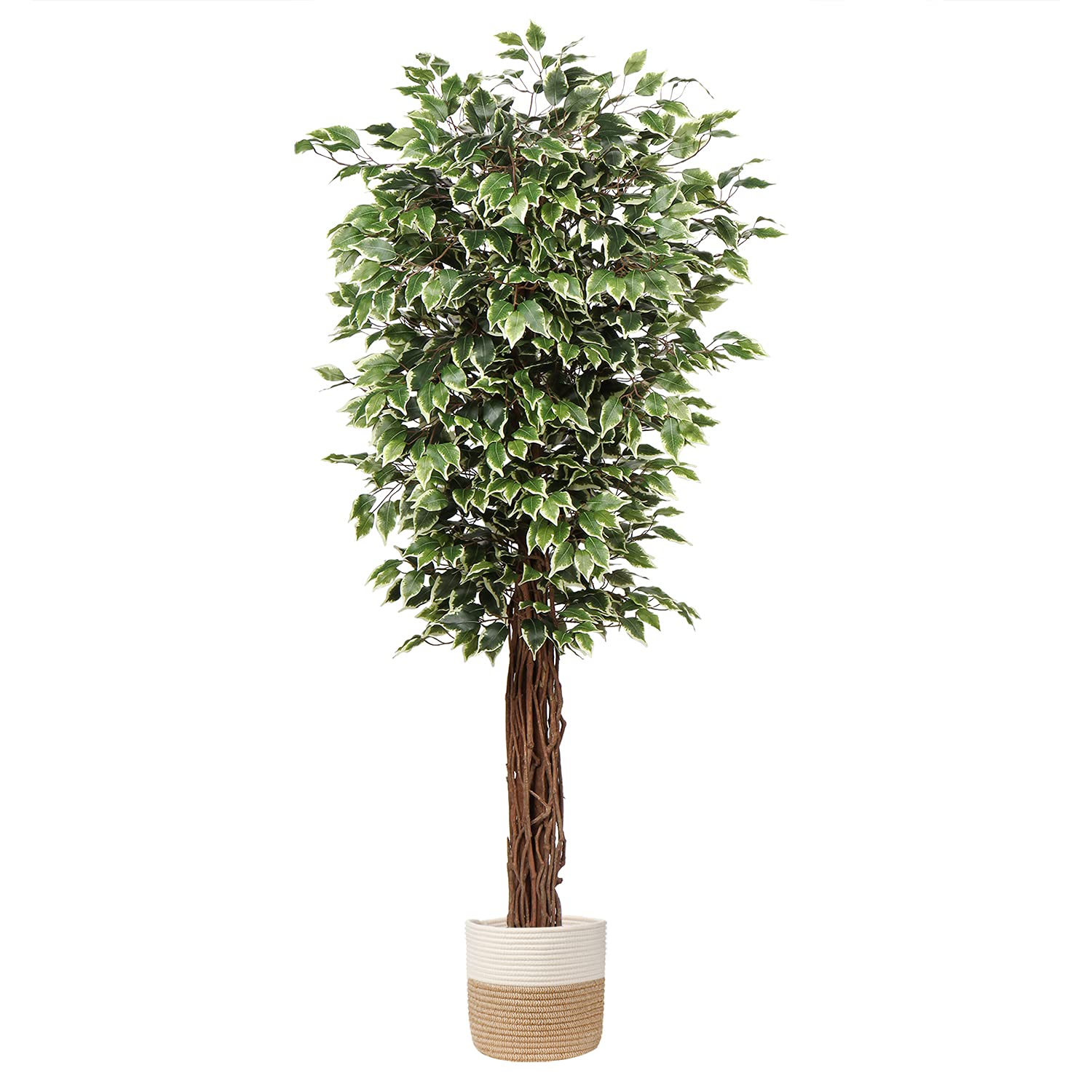 6ft Artificial Ficus Tree in Pot - Realistic Silk Plant with Green & White Leaves, Natural Trunk - Perfect for Indoor/Outdoor Home, Office, Garden, and Patio Decor