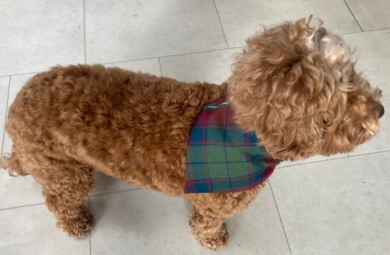 Stylish Plaid Dog Bandana for Small & Large Dogs - Adjustable & Comfortable Pet Accessory for Daily Walks, Photo Shoots & Special Occasions