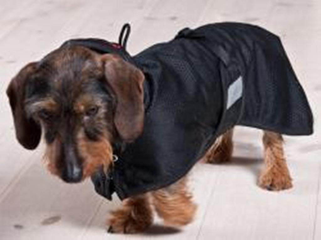 Back on Track Mesh Dog Blanket - Breathable & Comfortable Pet Blanket for Small to Large Dogs - Perfect for Travel, Crate & Home Use