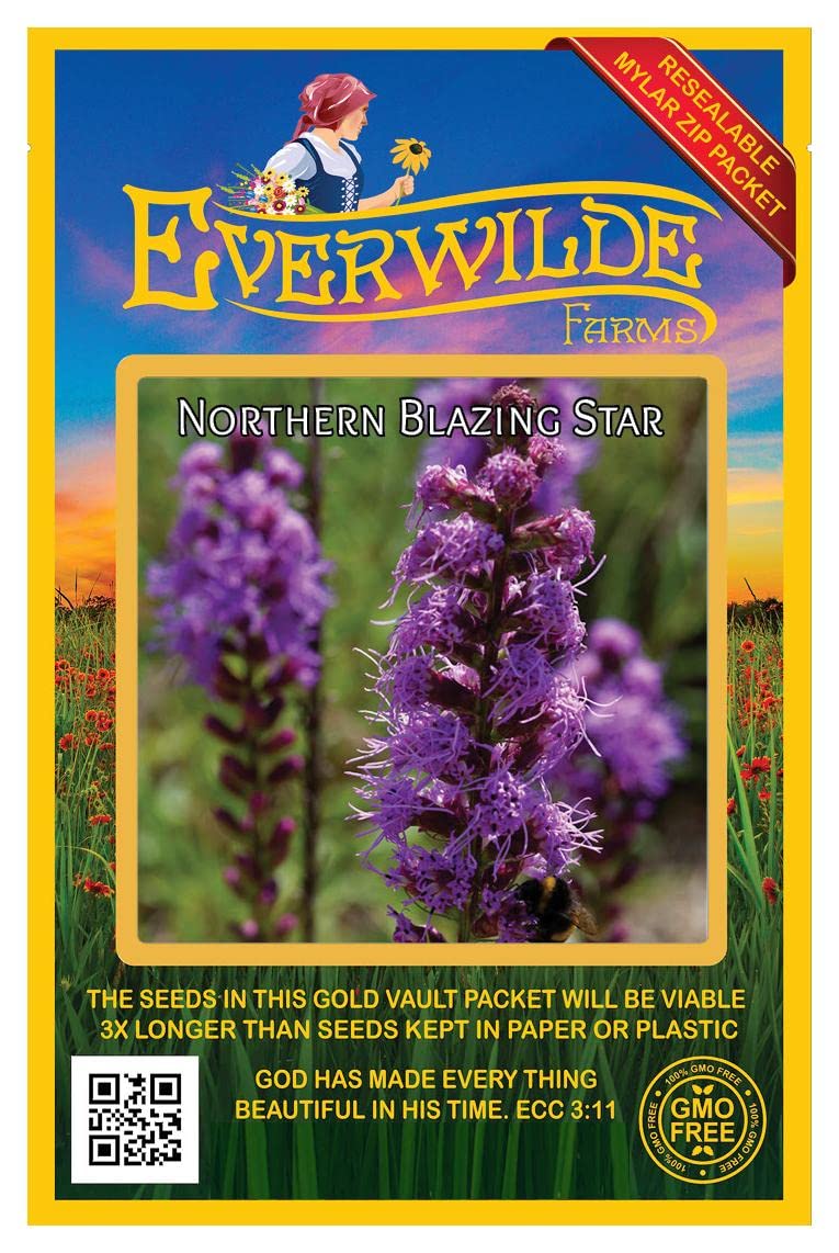 Everwilde Farms - 50 Northern Blazing Star Native Wildflower Seeds - Gold Vault Seed Packet for Pollinator Gardens & Landscaping