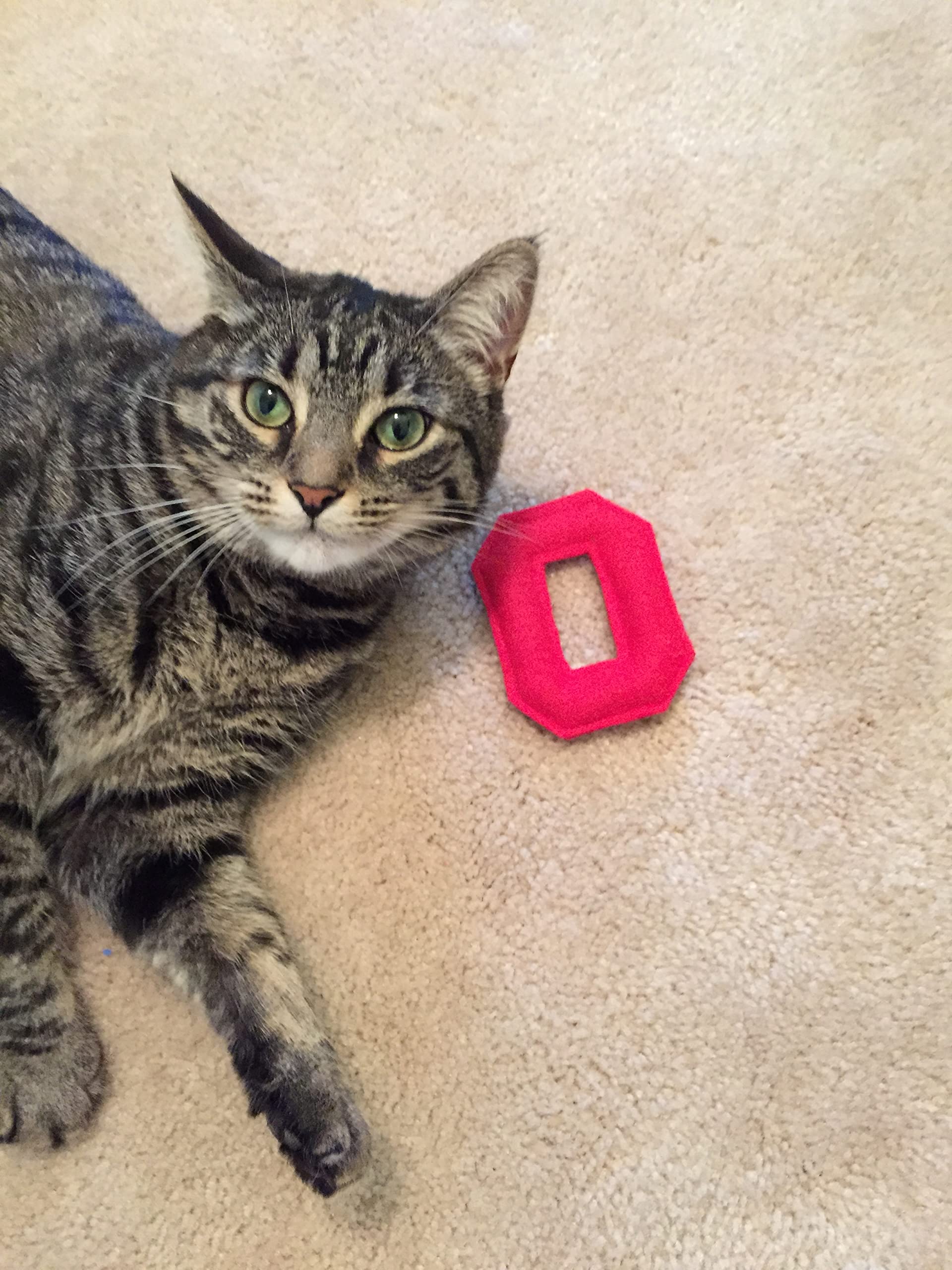 Ohio State Buckeyes Catnip Cat Toy Pack - Fun & Safe Catnip Toys for Kittens & Adult Cats - Perfect for Playtime, Training & Stress Relief