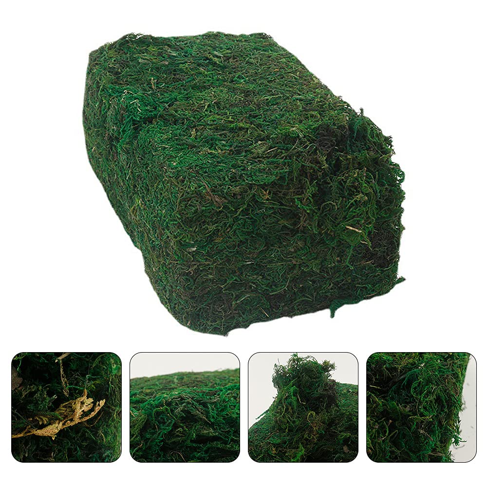 ABOOFAN Artificial Faux Green Lichen Decor - 1pc Potted Plant, Dried Fake Plants for Planters, Fish Tank, Terrarium, Garden & Lawn - Preserved PVC Filler Bulk for Home, Office & Wedding Decor