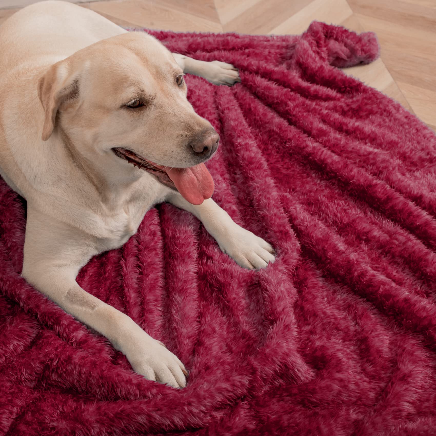 MACEVIA Fluffy Fleece Dog & Cat Blanket - Ultra Soft Warm Pet Blanket for Small Medium Large Dogs, Puppies & Cats - Cozy Plush Throw for Bed, Couch, Sofa & Travel - Perfect for Winter Snuggles & Home Decor (29x40 Inches, Wine Red)