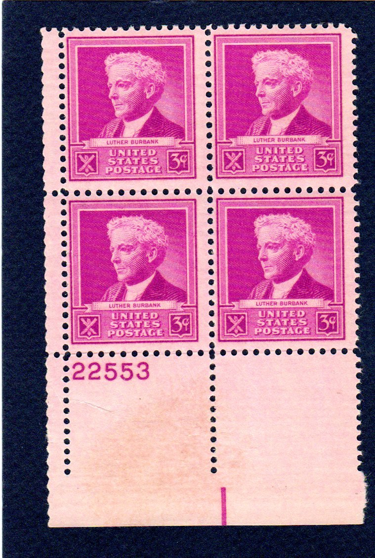 1940 US Postage Stamps - Plate Block #22553 of Four 3¢ Bright Red Violet Luther Burbank Stamps | Famous Americans Issue, Scott #876 | Perfect for Collectors, Framing & Historical Displays
