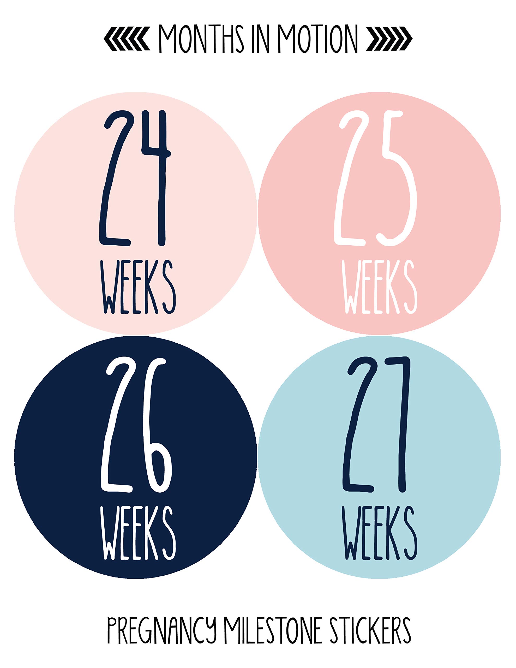 Months In Motion Weekly Pregnancy Growth Stickers - 36 Pcs Baby Bump Photo Props for Maternity Milestones | Perfect for Pregnancy Journal, Baby Shower Gifts & Bumpdate Photos | Track Your Pregnancy Journey Week by Week