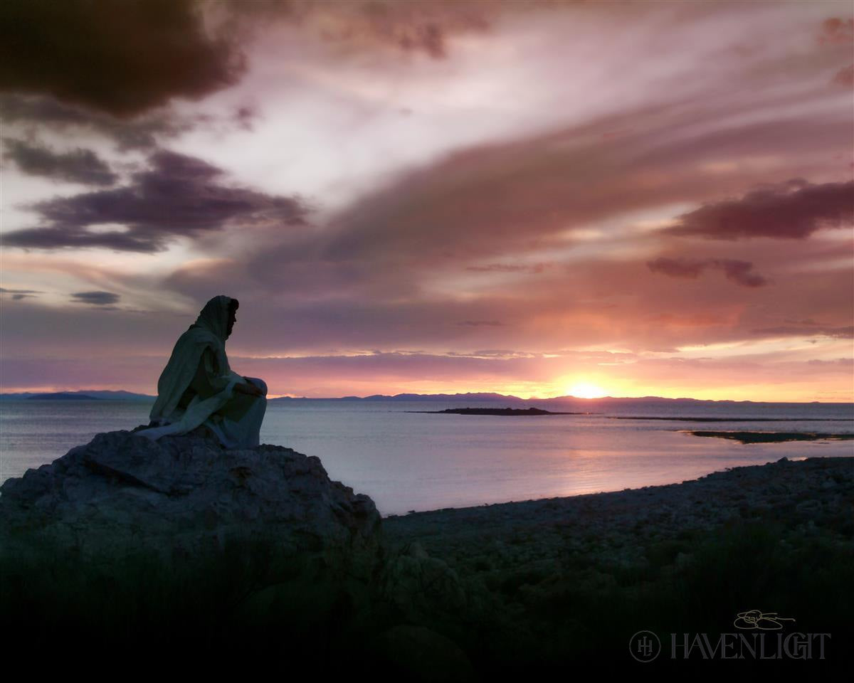 Prayer Journal: Apart to Pray by Scott Sumner - Christian Devotional Book for Daily Reflection & Spiritual Growth | Perfect for Bible Study, Small Groups & Personal Worship