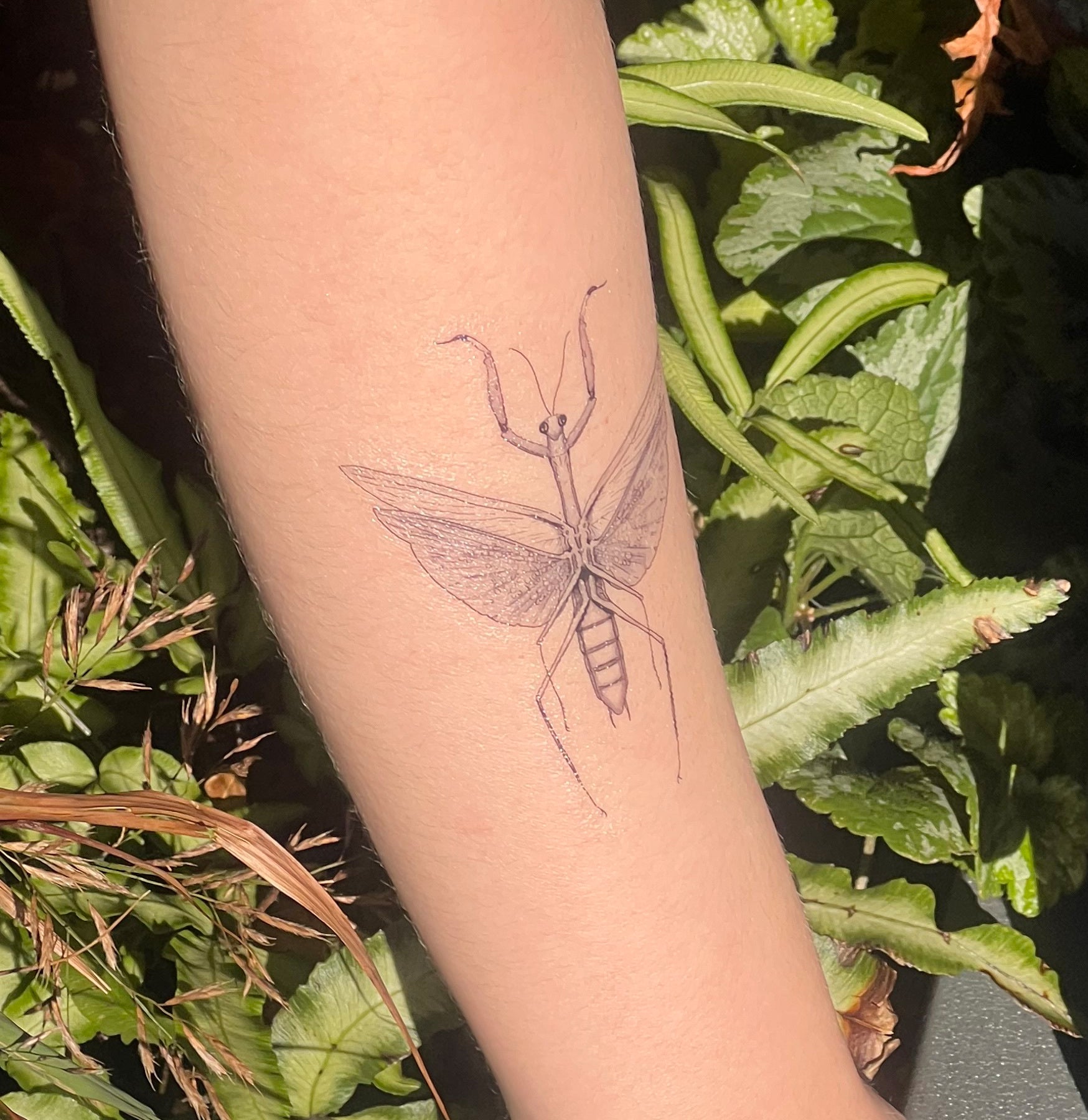 Paxton Gate Tattoos - Premium Temporary Tattoos for Adults & Teens - Waterproof Fake Tattoos for Parties, Festivals & Cosplay
