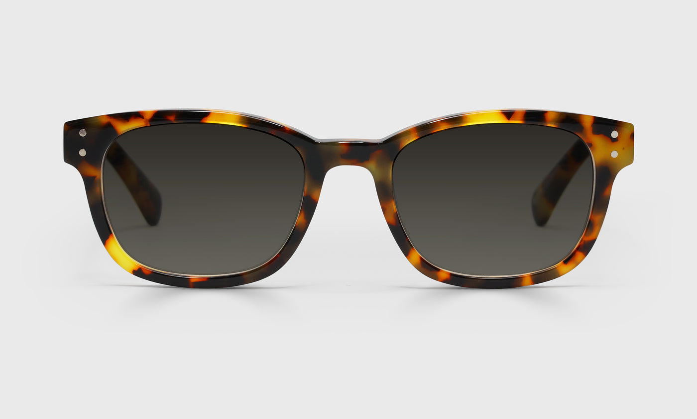 Biff Wide Color 19 Tortoise Front and Temples - Stylish Eyeglass Frames for Men & Women | Perfect for Reading, Work, and Everyday Wear