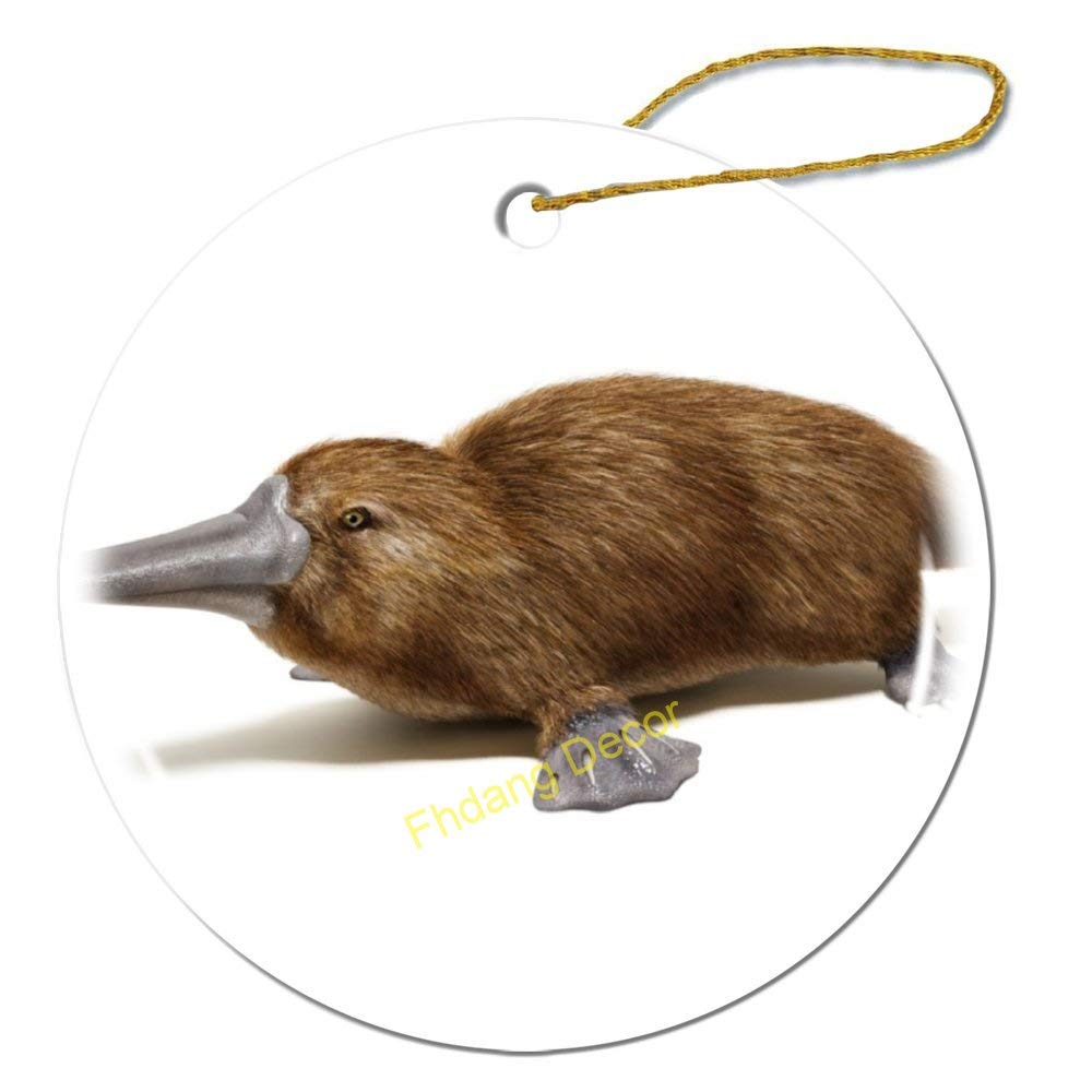 Porcelain Platypus Christmas Ornament - 3