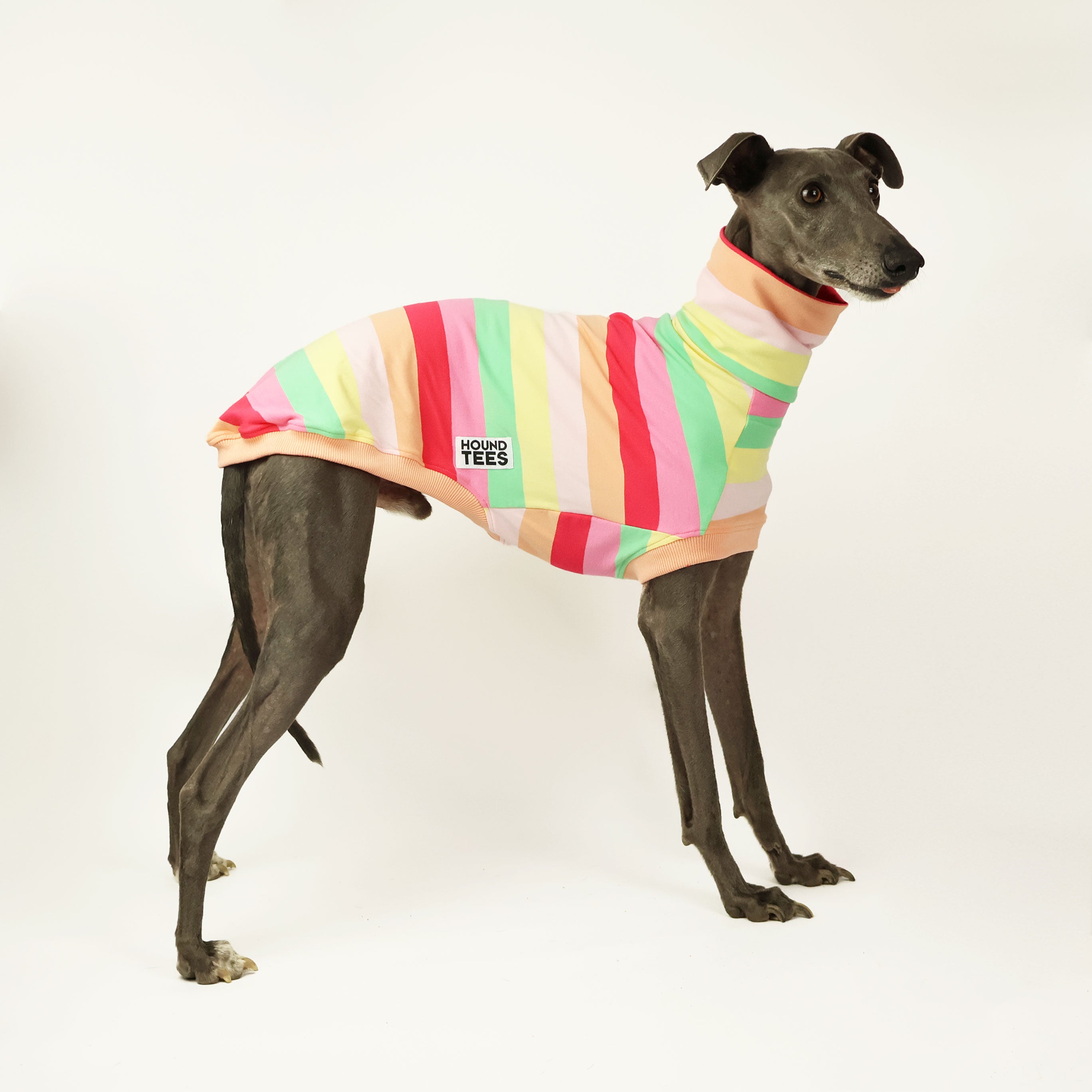 Raspberry Sorbet Whippet Sleeveless Sweater for Dogs - Soft Knit Pet Fashion for Small Breeds - Perfect for Outdoor Walks & Photo Shoots