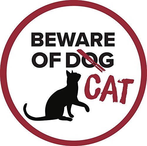 Beware of Cat
