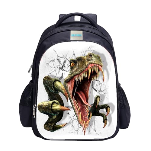 Boys Dinosaur Backpack 17