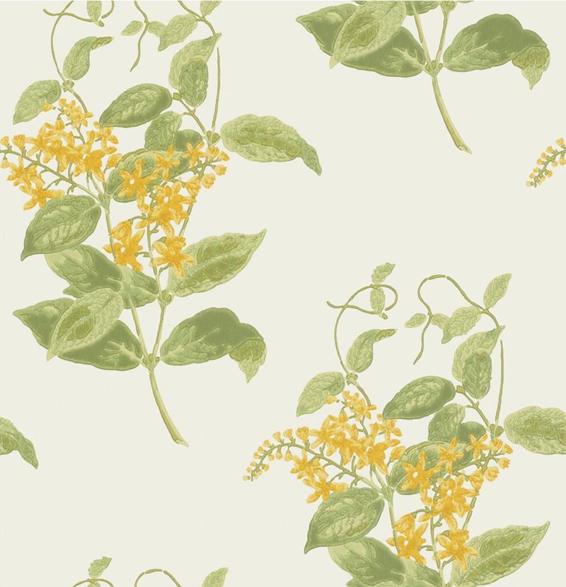 Cole & Son Madras Violet Wallpaper - Premium Peel & Stick Wallpaper for Living Room, Bedroom, and Home Decor