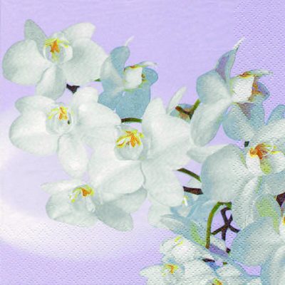 Orchidea Blanca Vintage Lavender Aqua Floral Cotton Lunch Napkins - 20 Pack Set for Dinner Parties, Bridal Showers & Home Decor