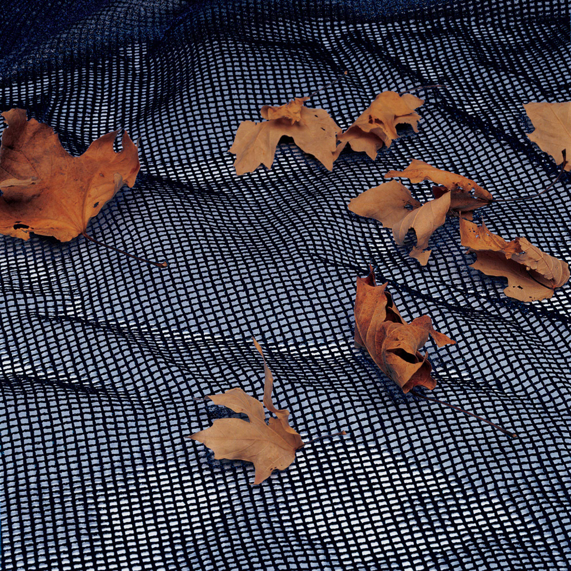 Blue Wave 18ft x 36ft Rectangular Leaf Net Pool Cover - Durable In-Ground Pool Protection for Fall and Winter Seasons