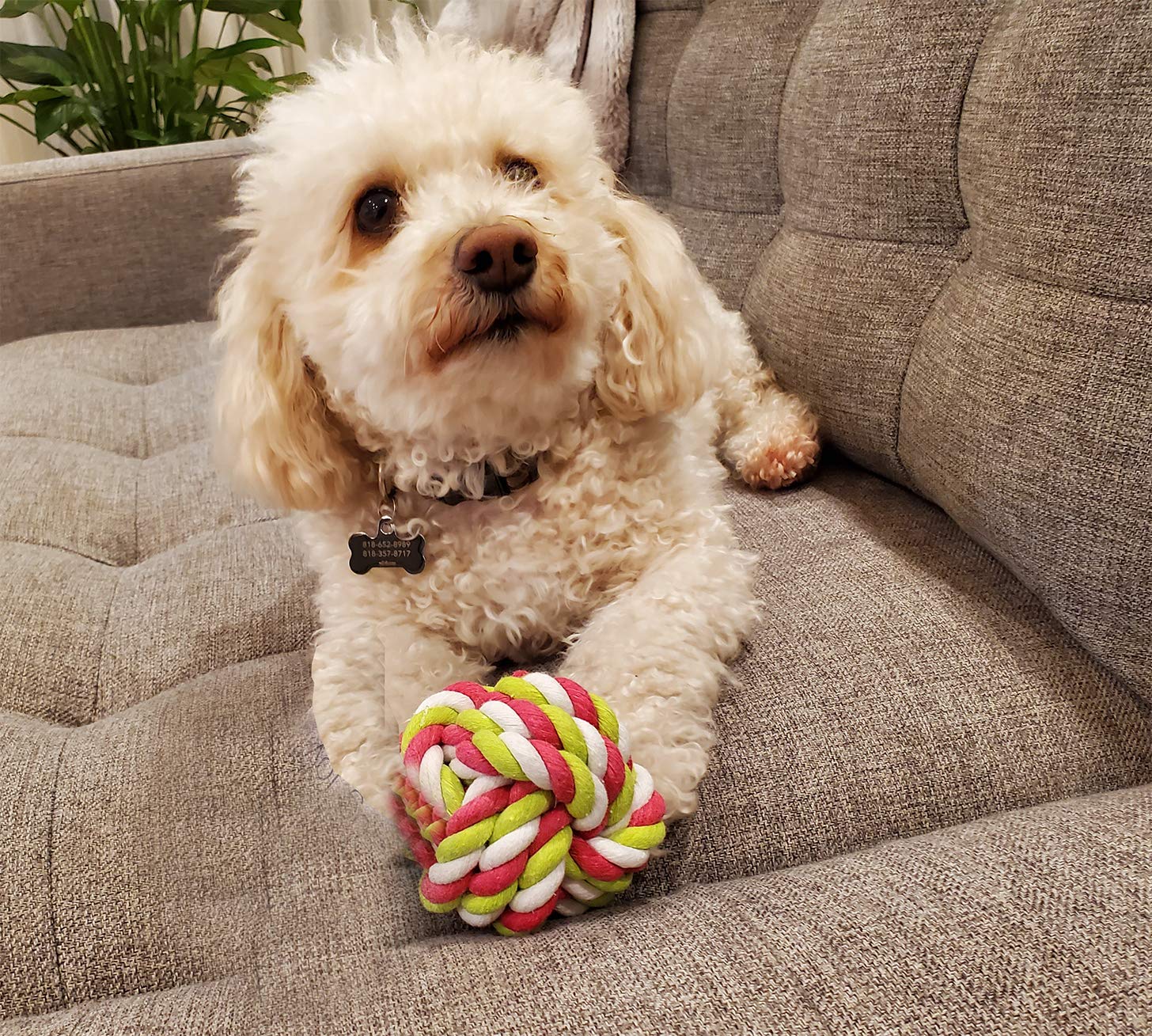 Zelica Twisted Knot Rope Dog Toy Ball - Durable Chew Toy for Aggressive Chewers, Interactive Play & Teeth Cleaning - 4 Pack for Medium & Large Dogs - Perfect for Fetch, Tug of War & Outdoor Exercise