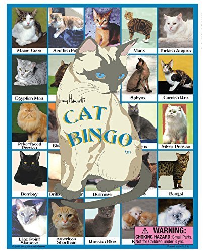 Lucy Hammett Games Cat Bingo - Fun Family Board Game for Cat Lovers | Perfect for Parties, Game Nights & Classroom Activities