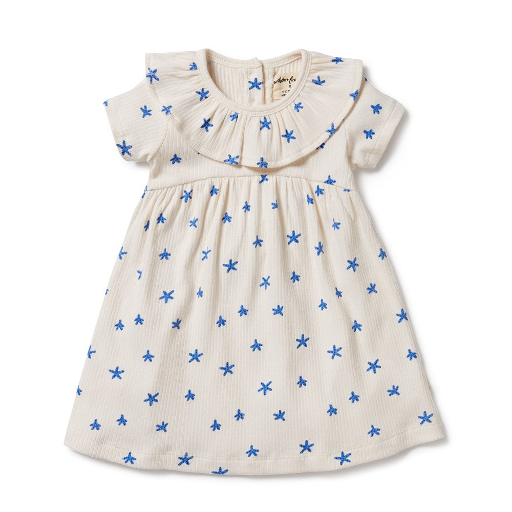 Little Starfish