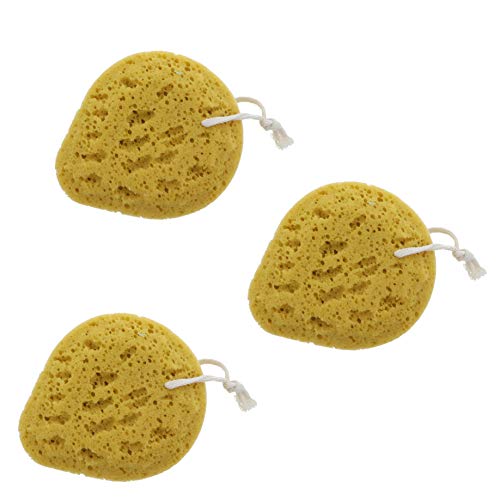 3 Sponges