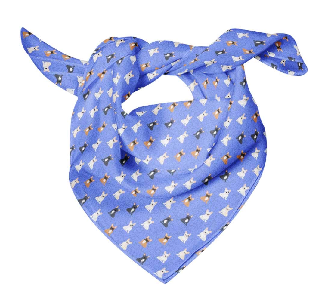 Bimba Printed Pure Silk Scarf - Women's Fashion Hair Neck Head Bandana Wrap (Perfect for Parties, Weddings, Travel & Everyday Style Accessory)