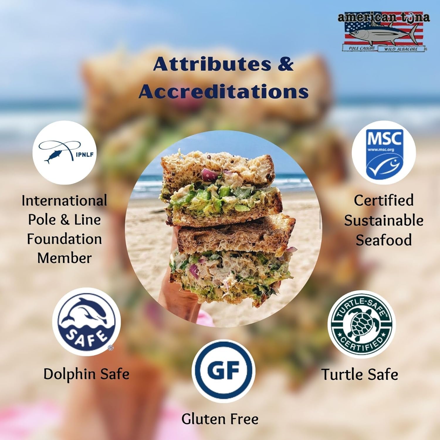 Premium Wild Albacore Tuna in Sea Salt - MSC Certified, Sustainably Pole & Line Caught - 6oz Cans (Pack of 12) | High Protein, Low Mercury | Perfect for Salads, Sandwiches & Keto Meals