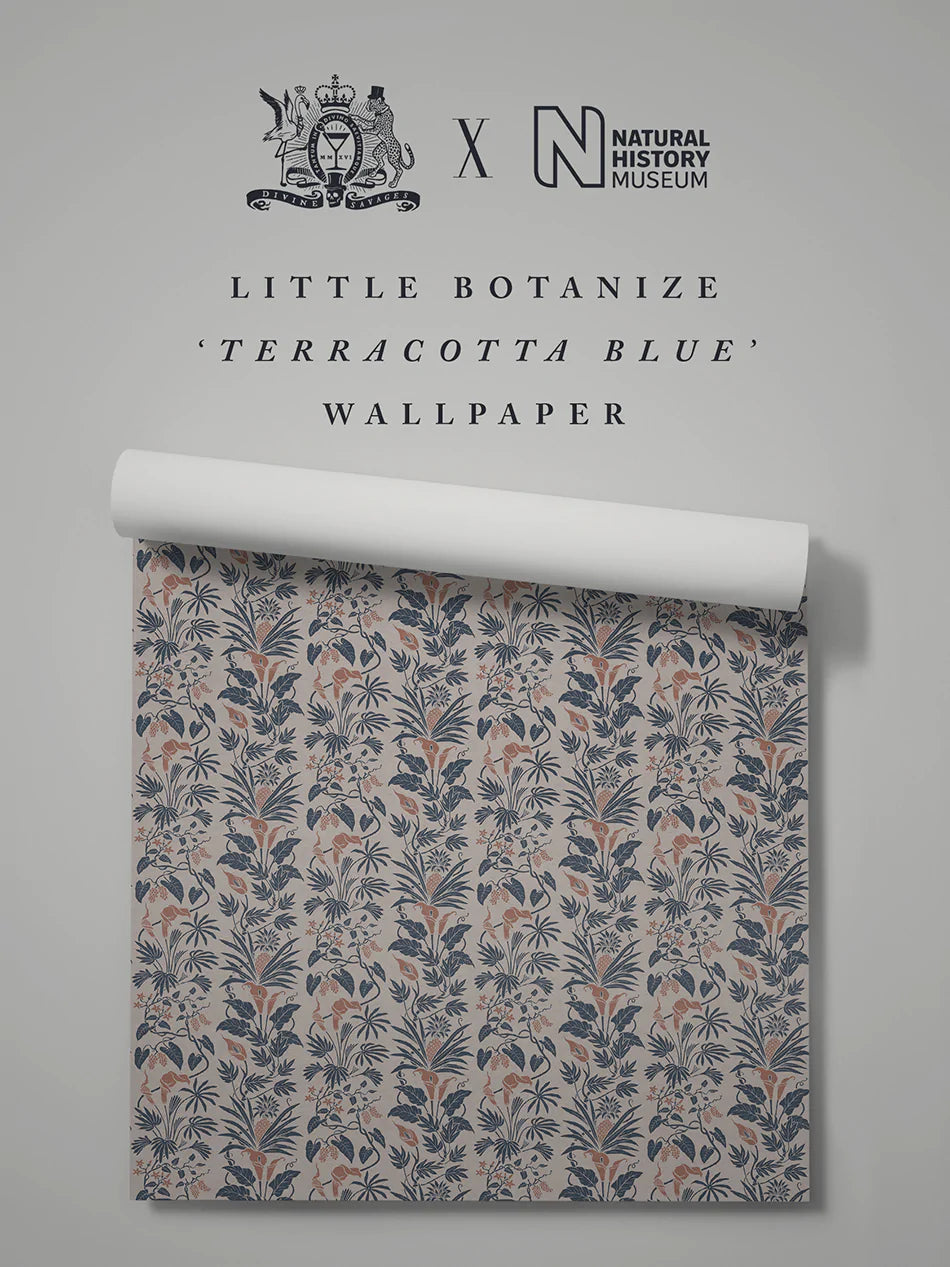 Little Botanist Wallpaper Sample - Peel & Stick Removable Wallpaper for Nursery, Bedroom, Office - Floral Botanical Design - Easy DIY Home Decor