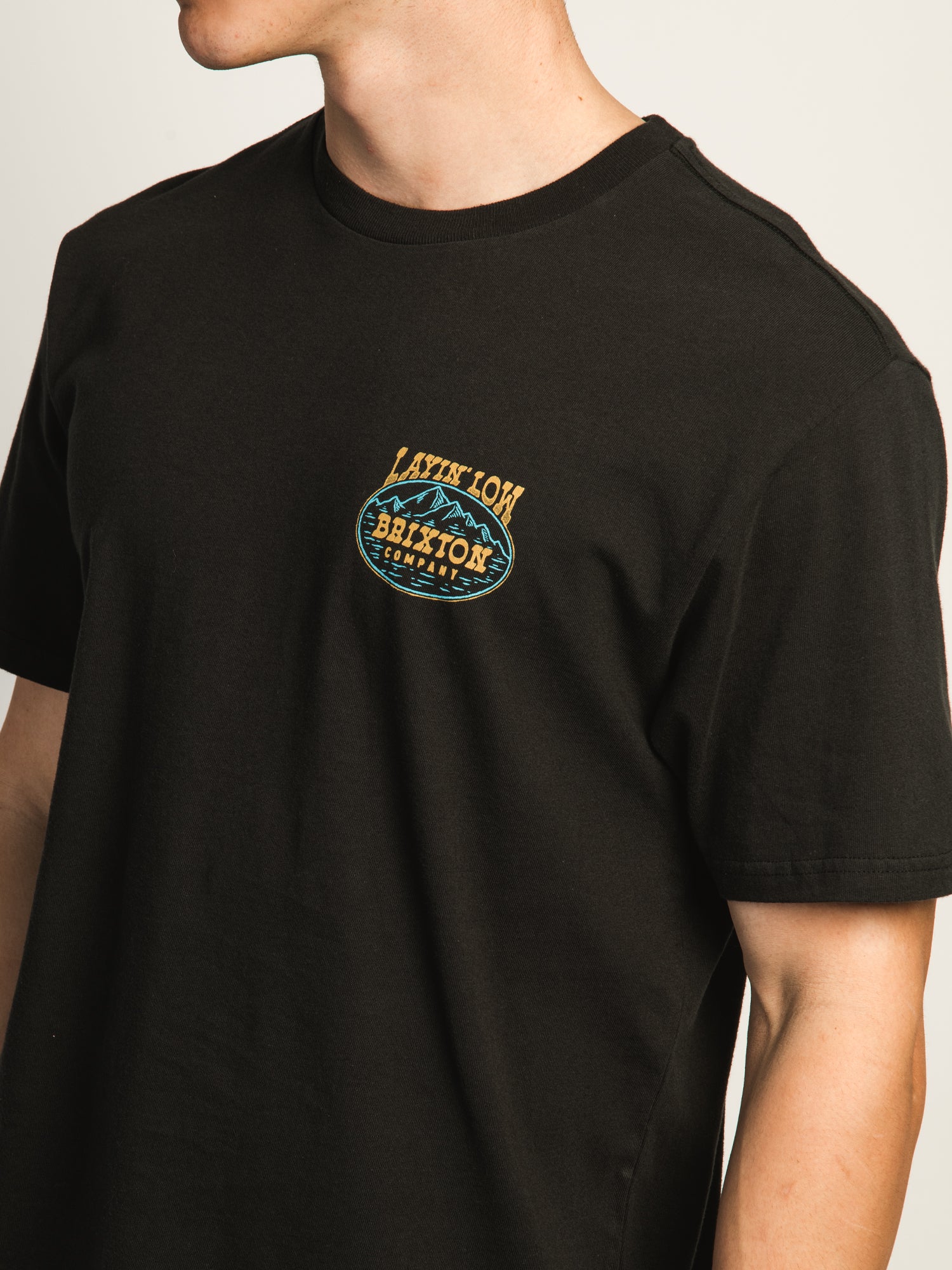 BRIXTON Layin' Low Standard T-Shirt for Men - Casual Cotton Tee for Everyday Wear | Perfect for Streetwear, Outings, and Relaxing