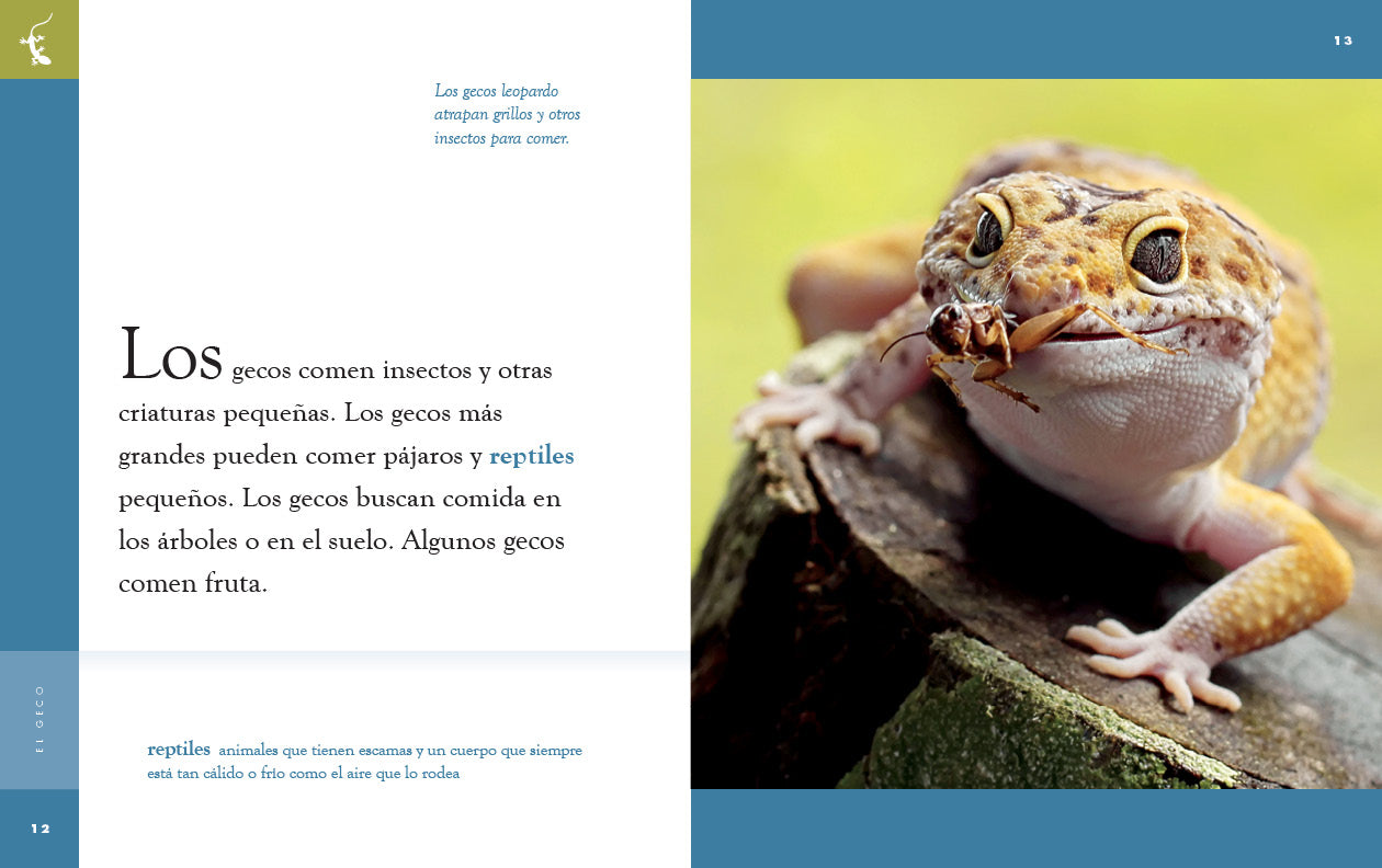 El Geco 9781640266728 - Reptile Pet Care Book for Gecko Owners - Perfect for Beginners & Enthusiasts | Home & Classroom Use