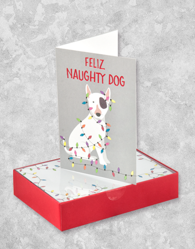 Feliz Naughty Dog Christmas Cards - 16 Count Boxed Holiday Greeting Cards for Friends & Family - Perfect for Christmas Wishes, Party Invitations & Festive Decorations